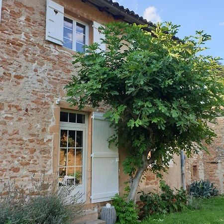 Le Gite Du Carge D'Arlay Charnay-lès-Mâcon Exteriör bild